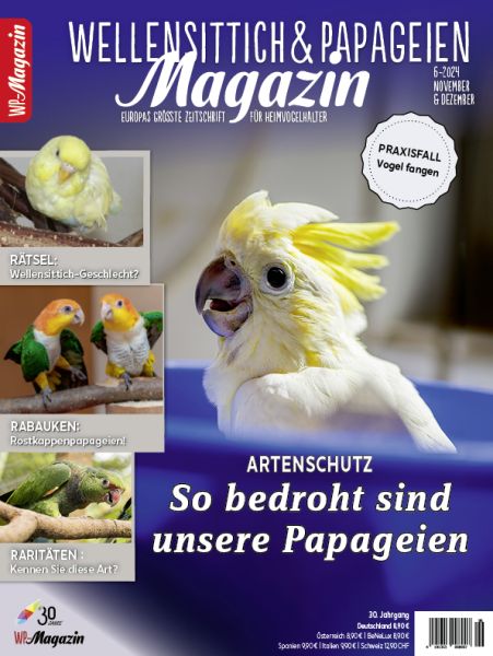 WP Magazin 6-2024